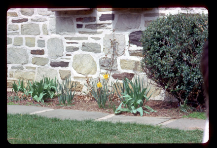 Slide295.jpg